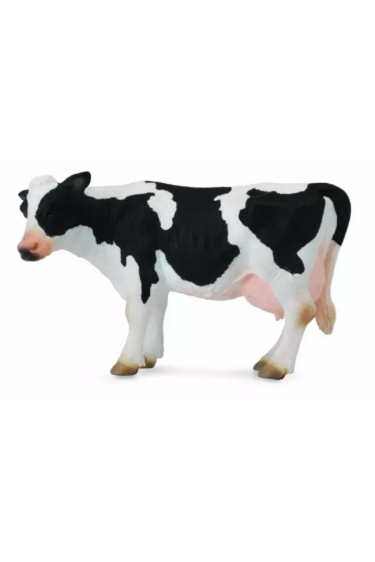 Krowa Friesian