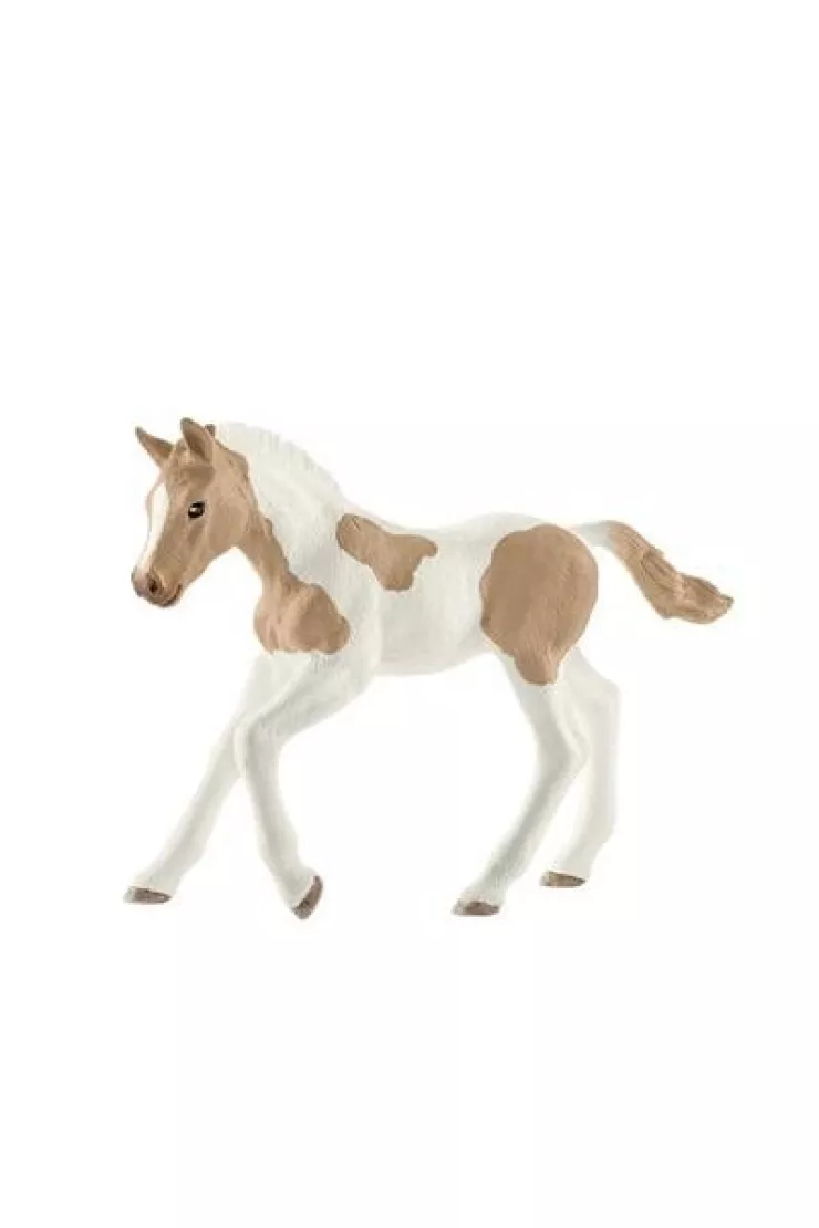 Źrebię rasy Paint Horse SLH13886