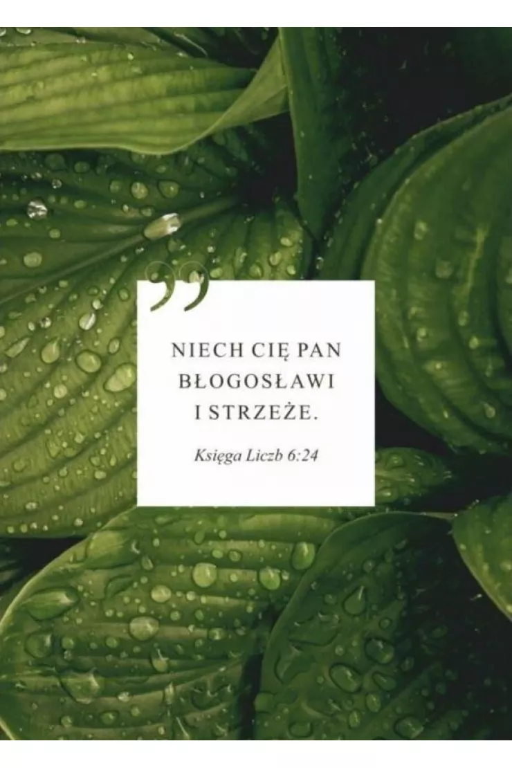 Karnet Niech Cię Pan błogosławi - liście