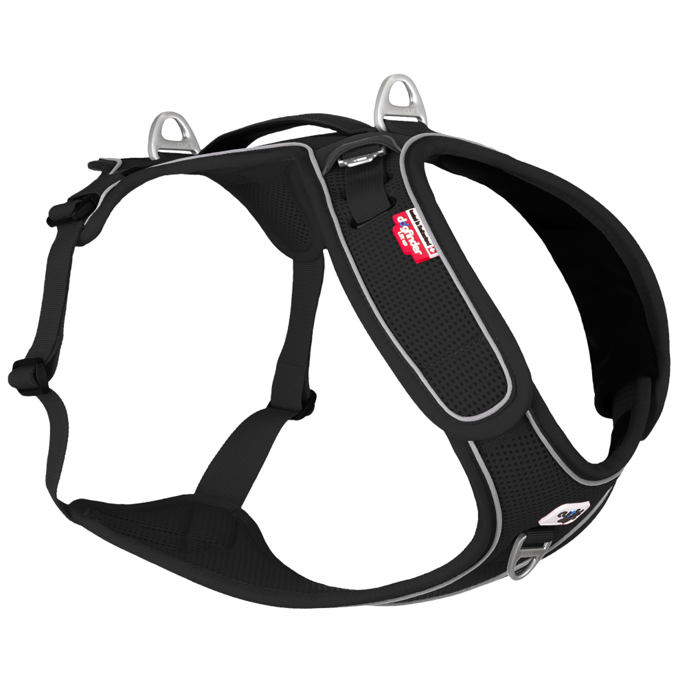 Curli Belka Basic szelki dla psa, czarne - Rozmiar 2XL: obw. klatki piersiowej 62,8 - 70,1 cm
