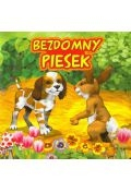 Bezdomny piesek