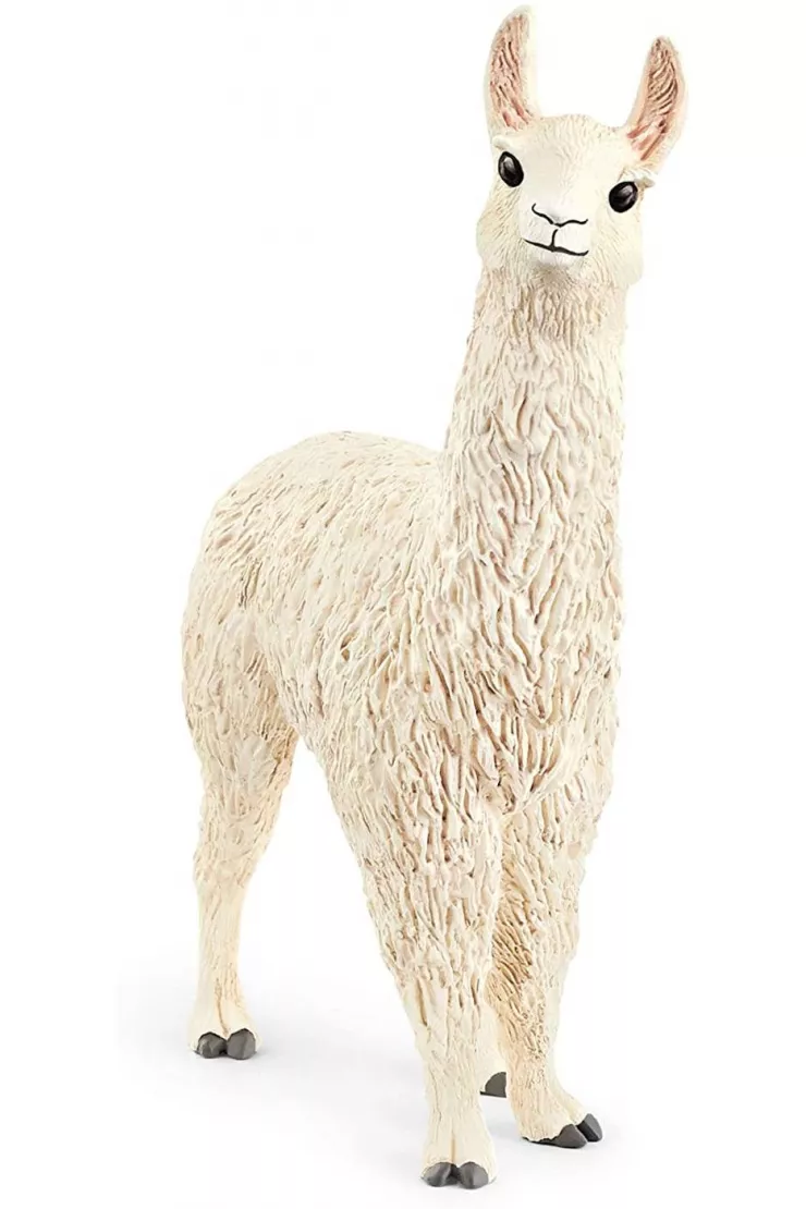 Lama