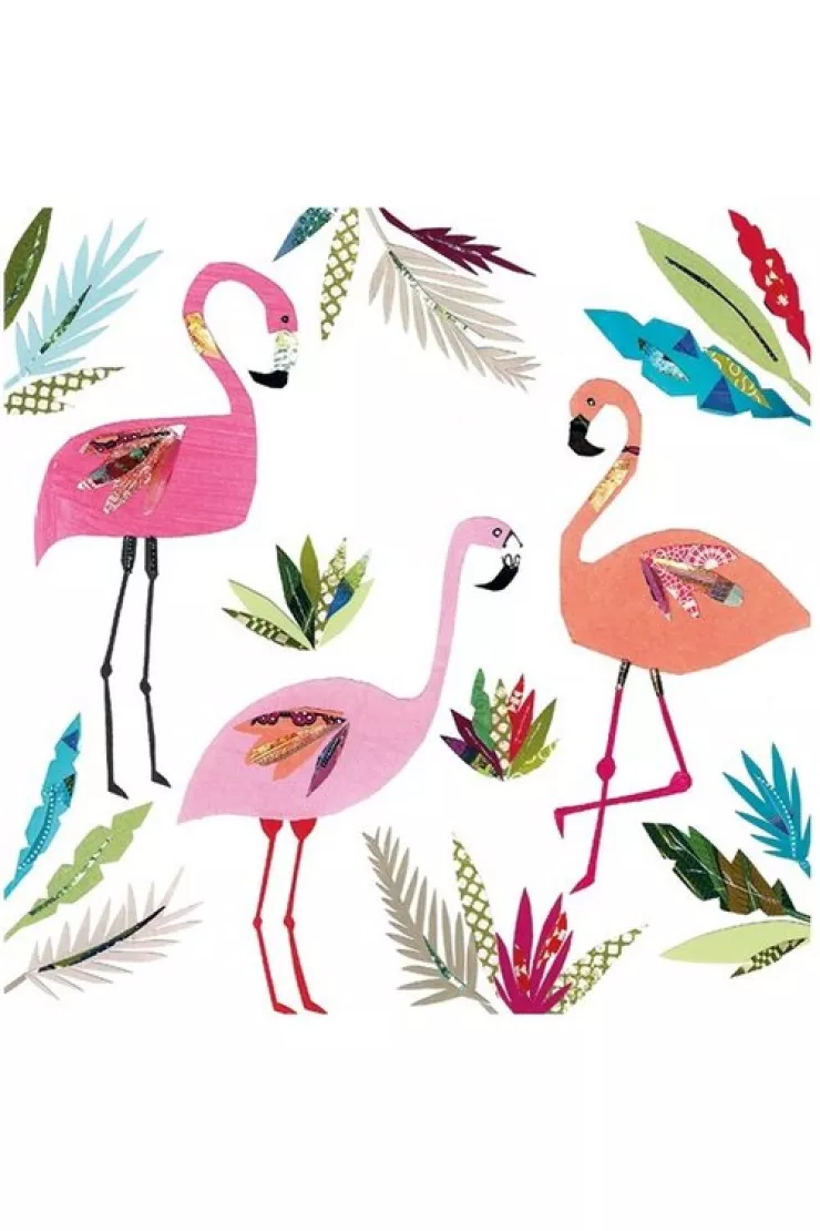 Karnet 3 Flamingos z kopertą
