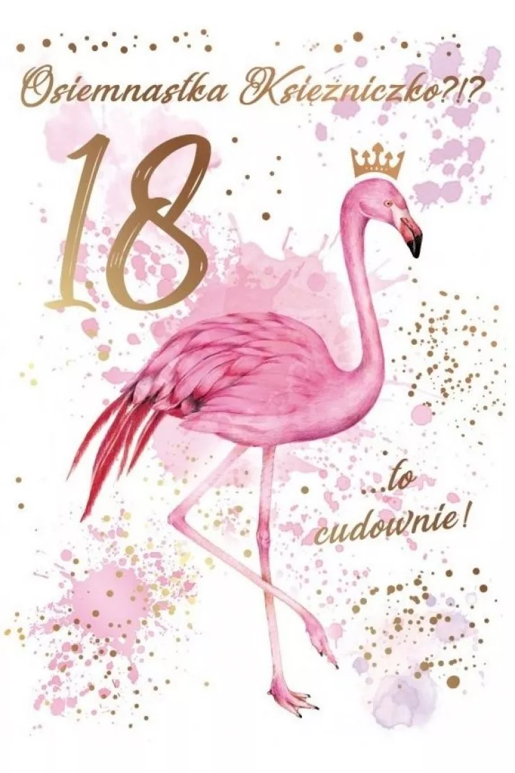 Karnet B6 Urodziny 18 flamingi PR-099