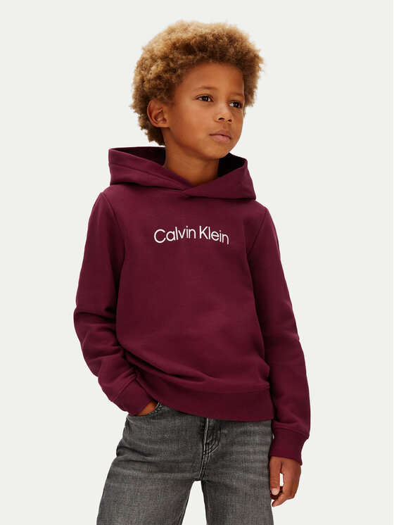 Calvin Klein Jeans Bluza IU0IU00679 Fioletowy Regular Fit