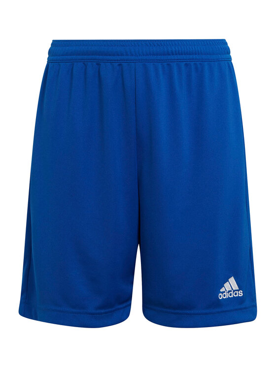 adidas Szorty sportowe Entrada 22 HG6291 Niebieski Regular Fit
