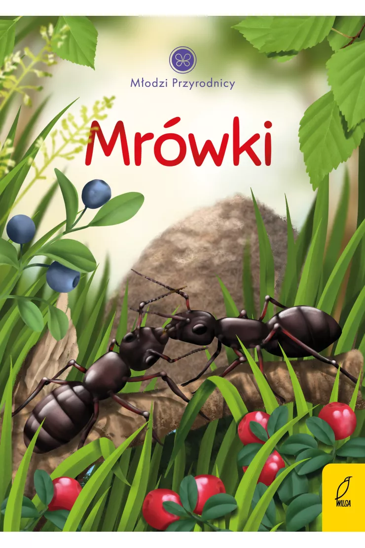 Mrówki. Młodzi Przyrodnicy