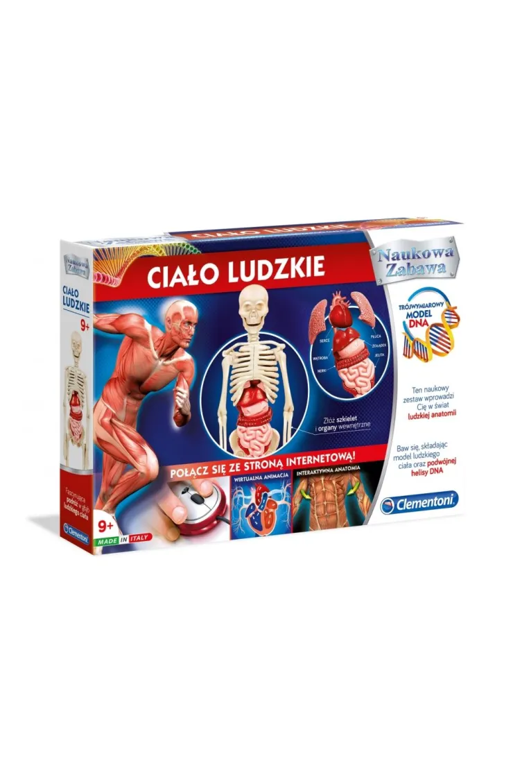 Naukowa zabawa - Ciało ludzkie
