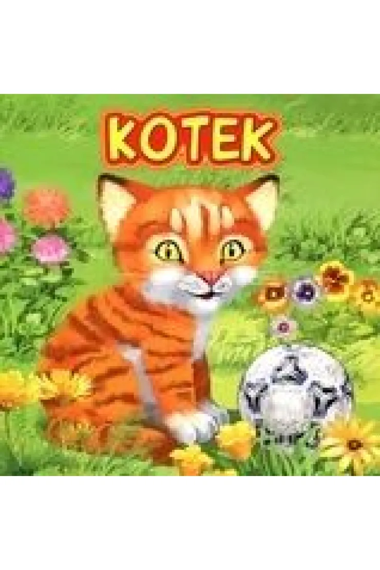Kotek JAFI