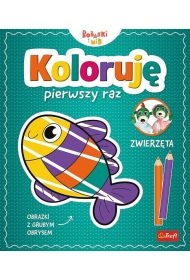 Książka aktywizująca Bobaski i Miś, Koloruję pierwszy raz. Zwierzęta