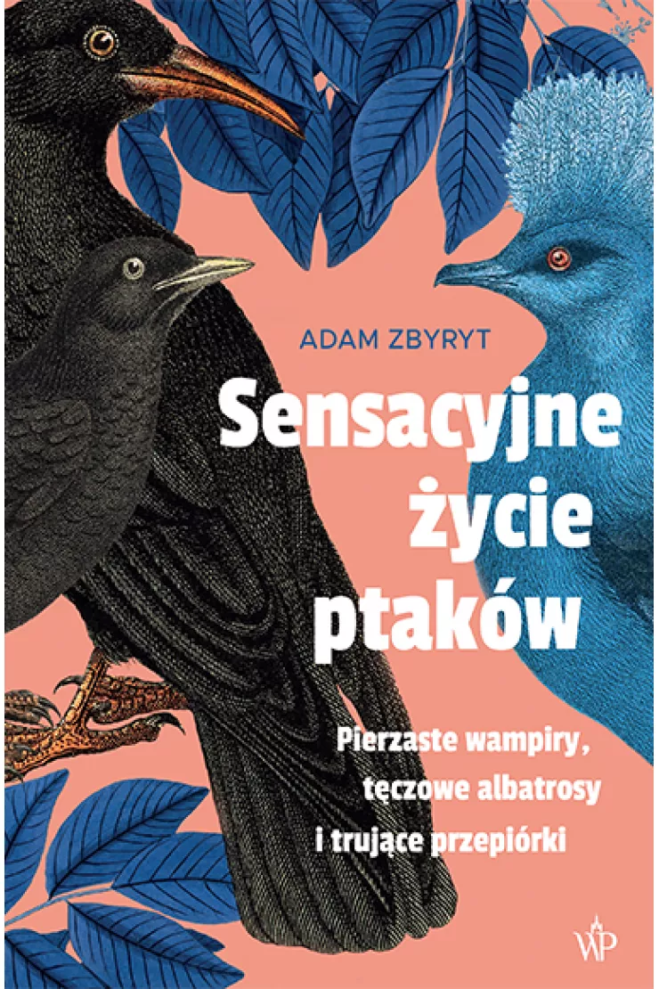 Sensacyjne życie ptaków