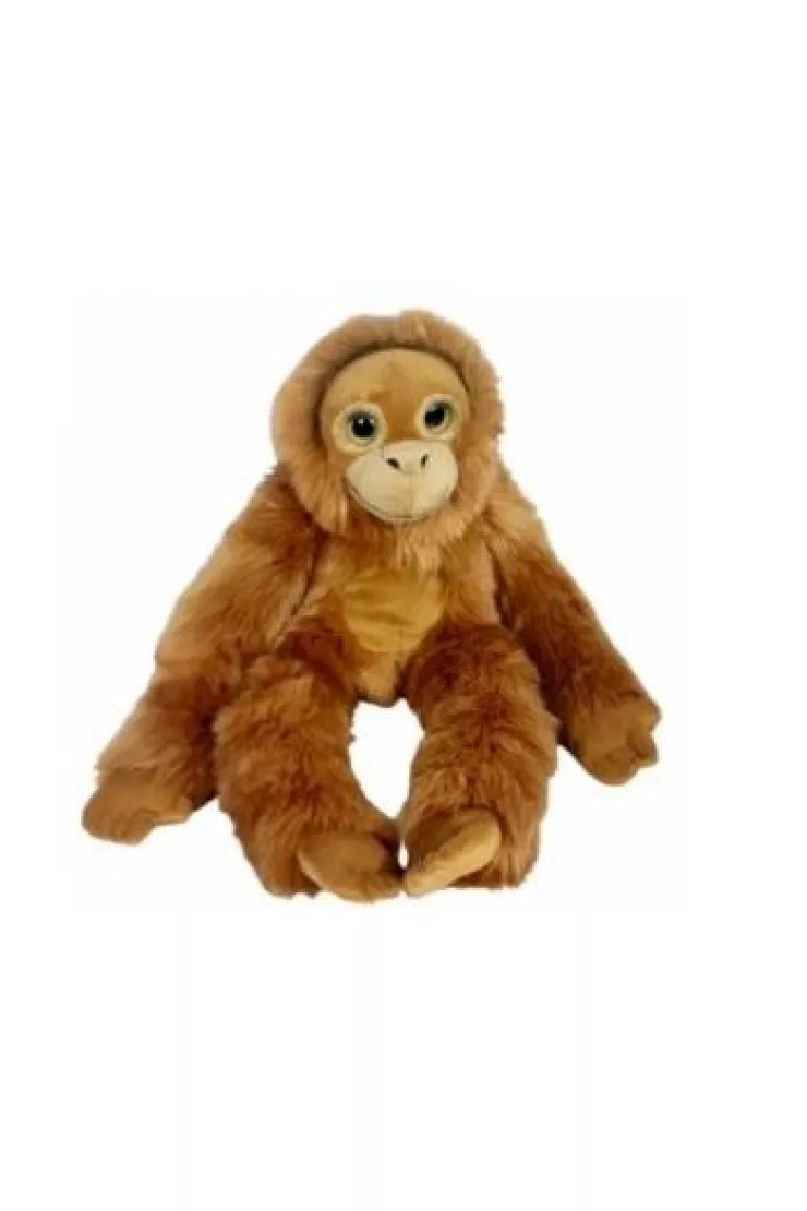 Orangutan big eyes 50cm