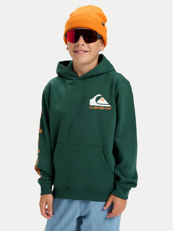 Quiksilver Bluza Omni Logo EQBFT03951 Zielony Regular Fit