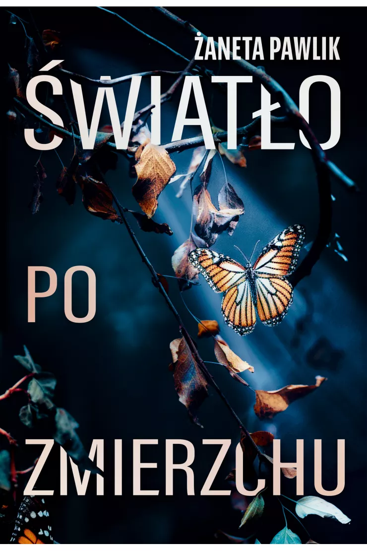Światło po zmierzchu