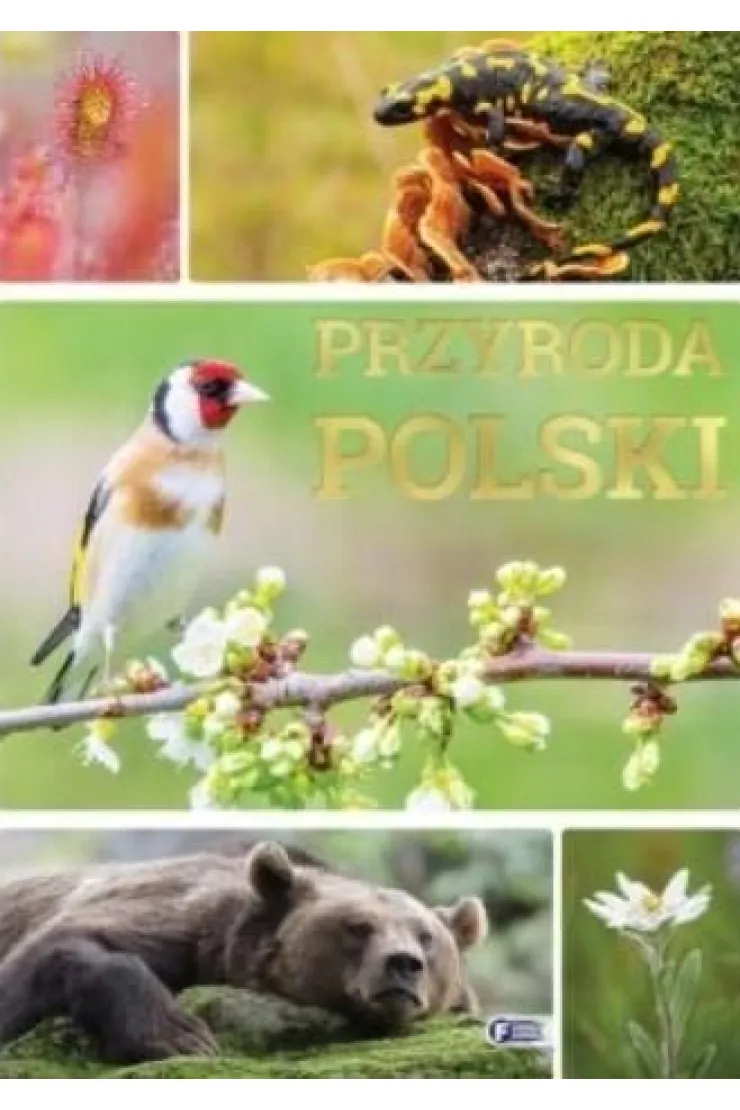 Przyroda Polski