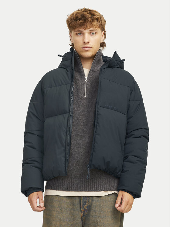 Jack & Jones Kurtka zimowa Vesterbro 12260433 Szary Regular Fit