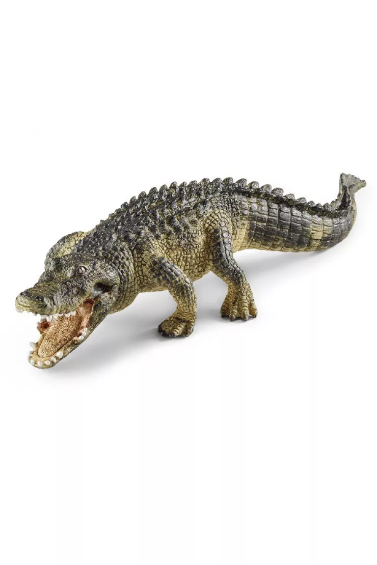 Aligator