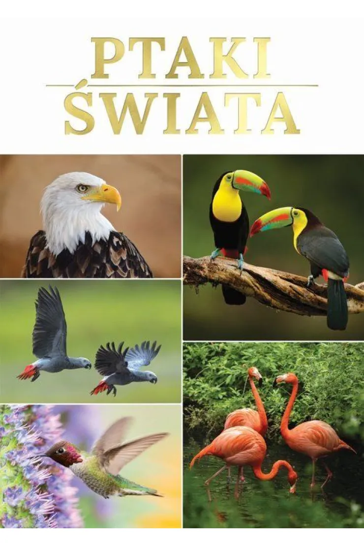 Ptaki świata