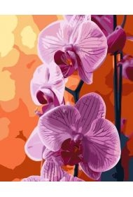 Malowanie po numerach - Orchidea