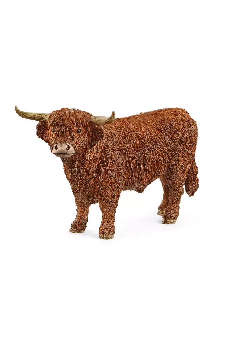 Highland Bull