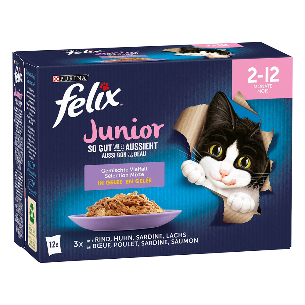 Megapakiet Felix Junior, w galarecie, So gut wie es aussieht, 48 x 85 g - 4 smaki