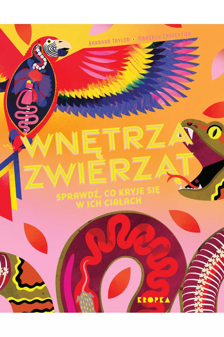 Wnętrza zwierząt