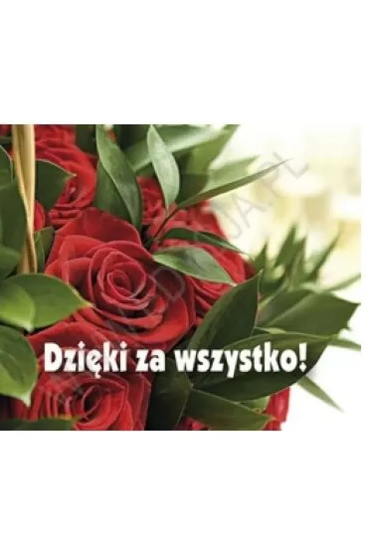 Dzięki za wszystko! Perełka 191 miniaturka