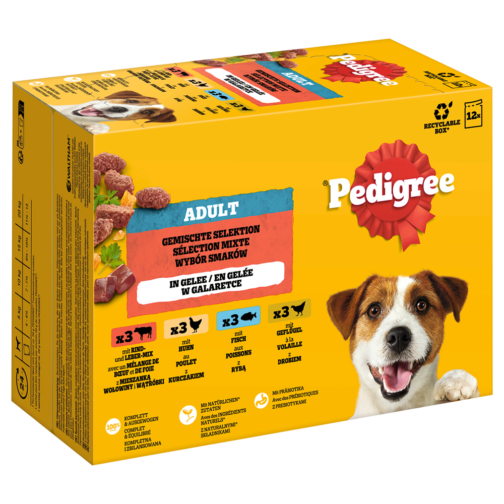 Pakiet Pedigree Adult w saszetkach - Wybór mieszany w galarecie (4 smaki), 48 x 100 g