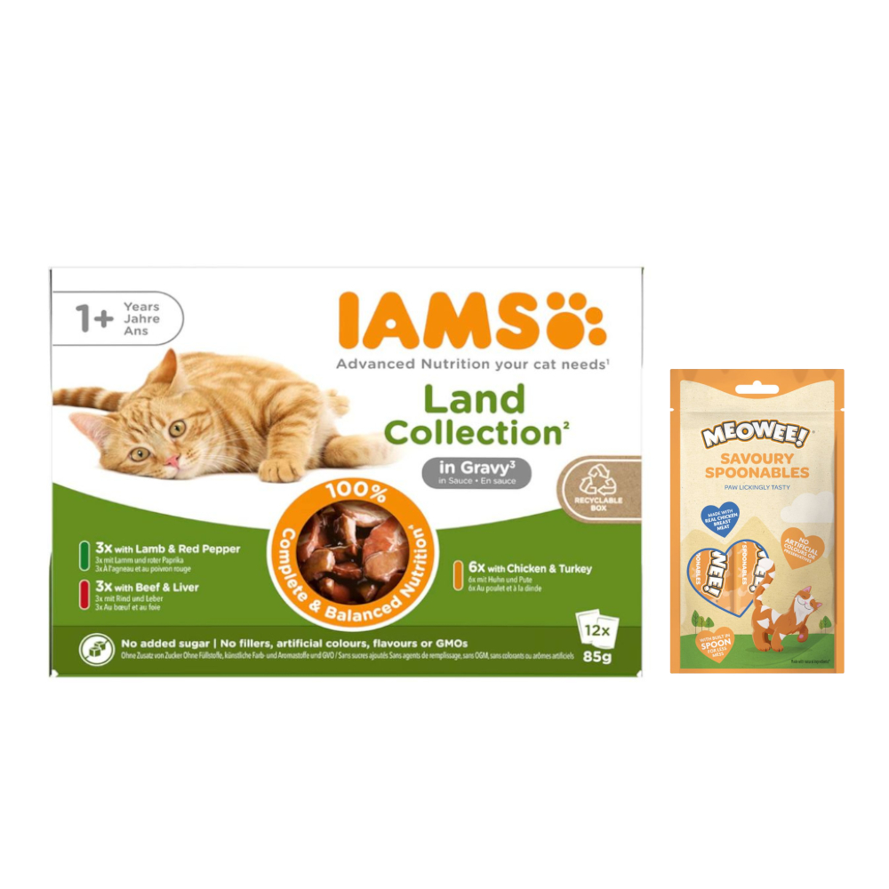 12 x 85 g IAMS Advanced Nutrition + Meowee! Savoury Spoonables, 8 x 14 g gratis! - Adult, mięsne smaki w sosie