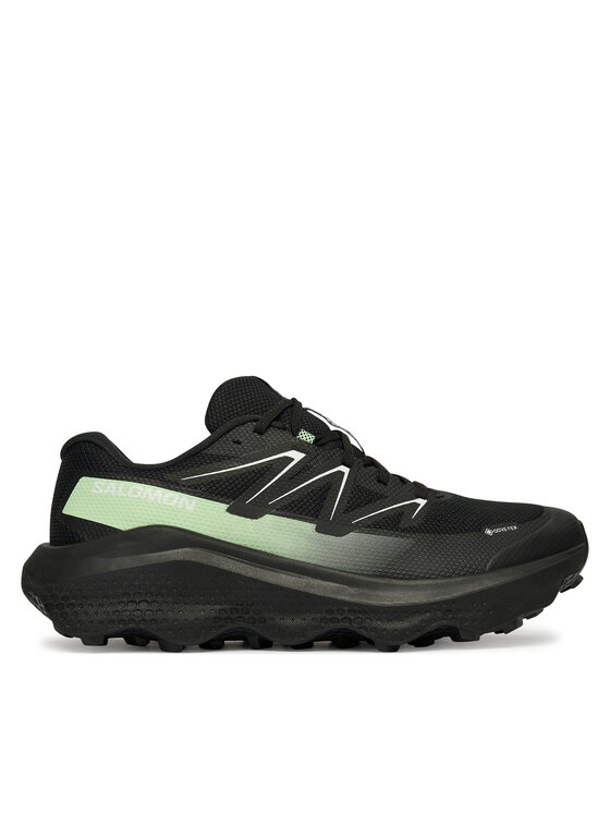 Salomon Buty do biegania Ultra Flow 2 Gtx L47981400 Czarny