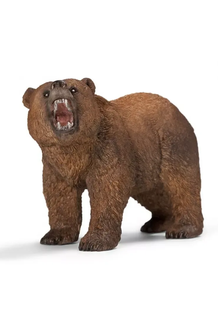 Niedźwiedź Grizzly