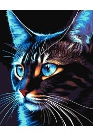 Malowanie po numerach - Cosmo - cat