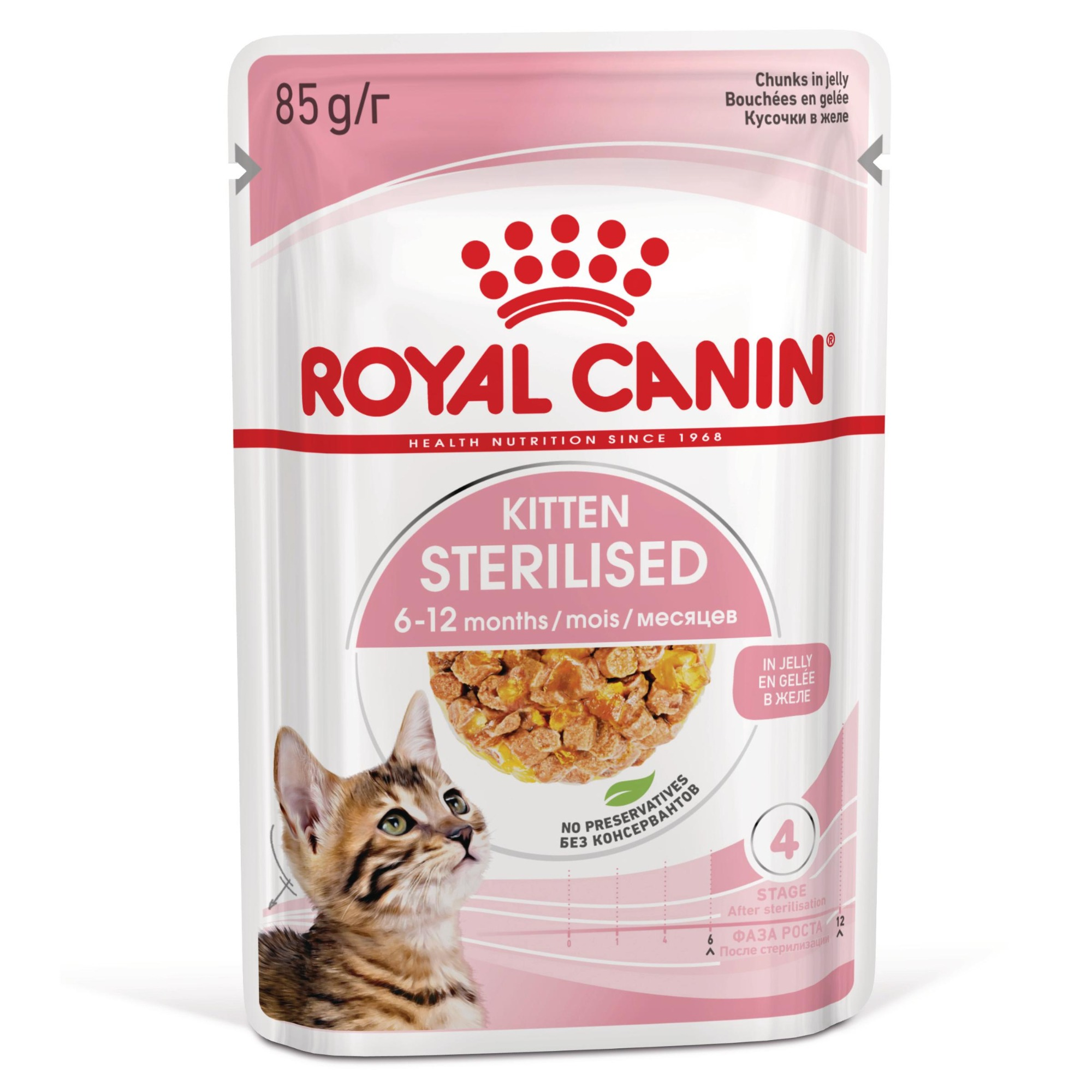 Royal Canin FHN Sterilised Kitten w galarecie - 48 x 85 g