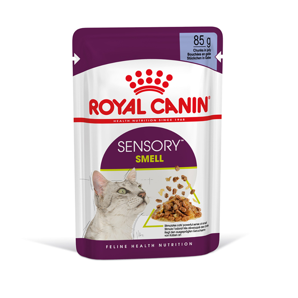Royal Canin Sensory Smell w galarecie - 12 x 85 g