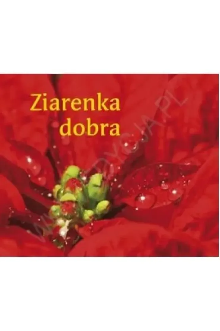 Ziarenka dobra. Perełka miniaturka