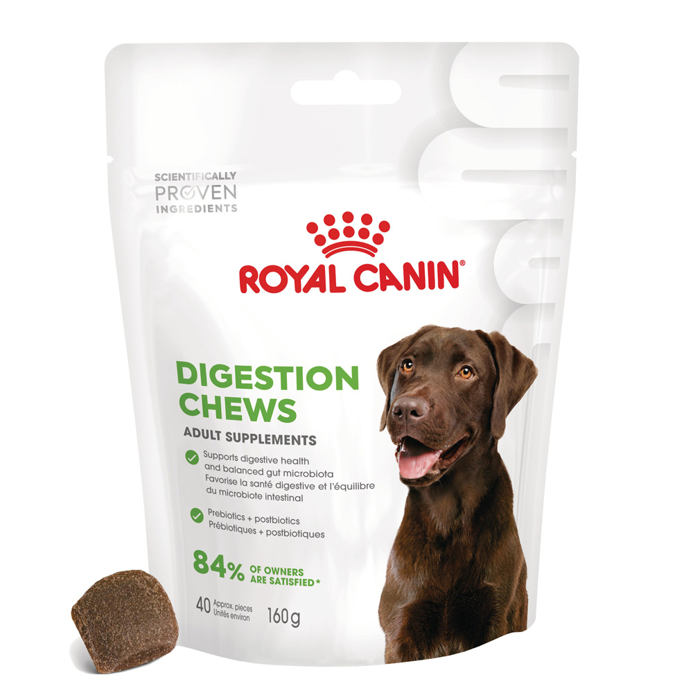Royal Canin Digestion Adult Supplement Chews - 2 x 160 g (80 sztuk)