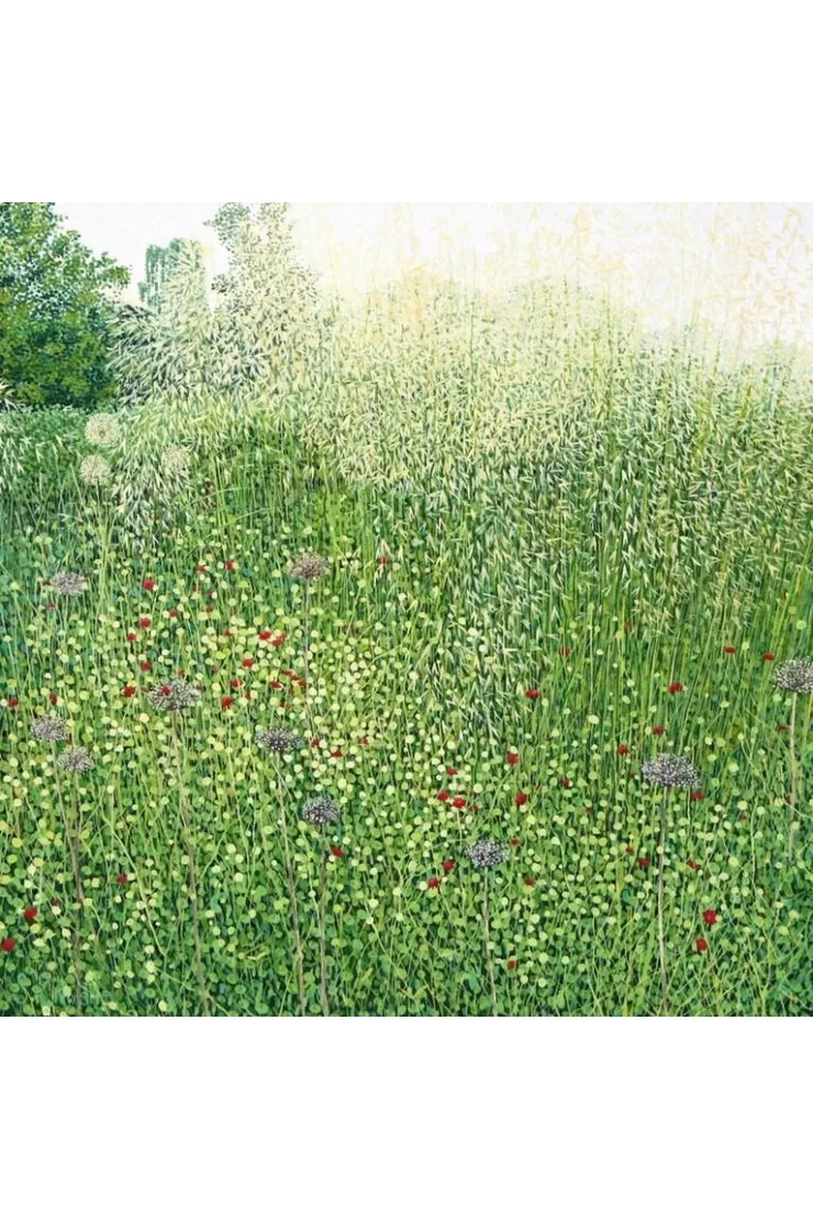 Karnet z kopertą Trawy Harlow Carr