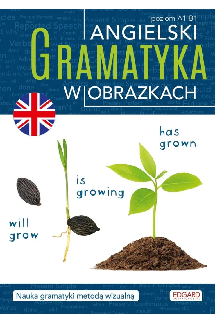 Angielski. Gramatyka w obrazkach