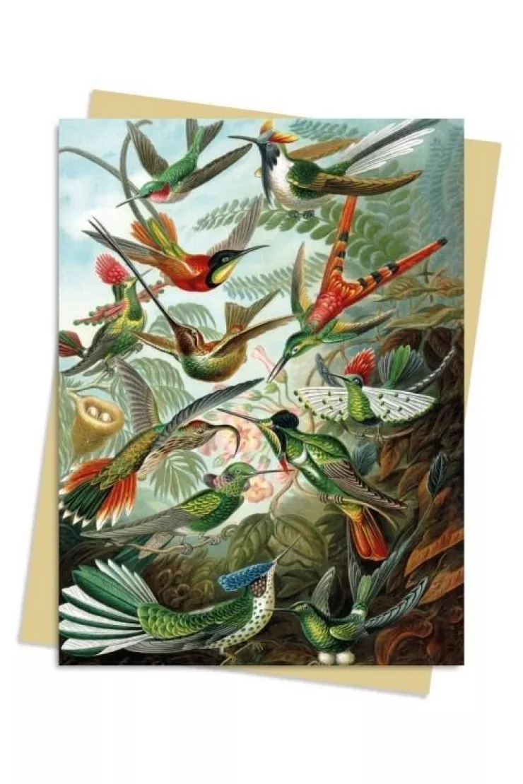 Karnet B6 Kolibry Ernst Haeckel