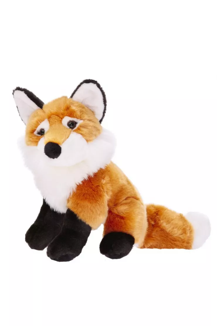 Lis pospolity 23cm