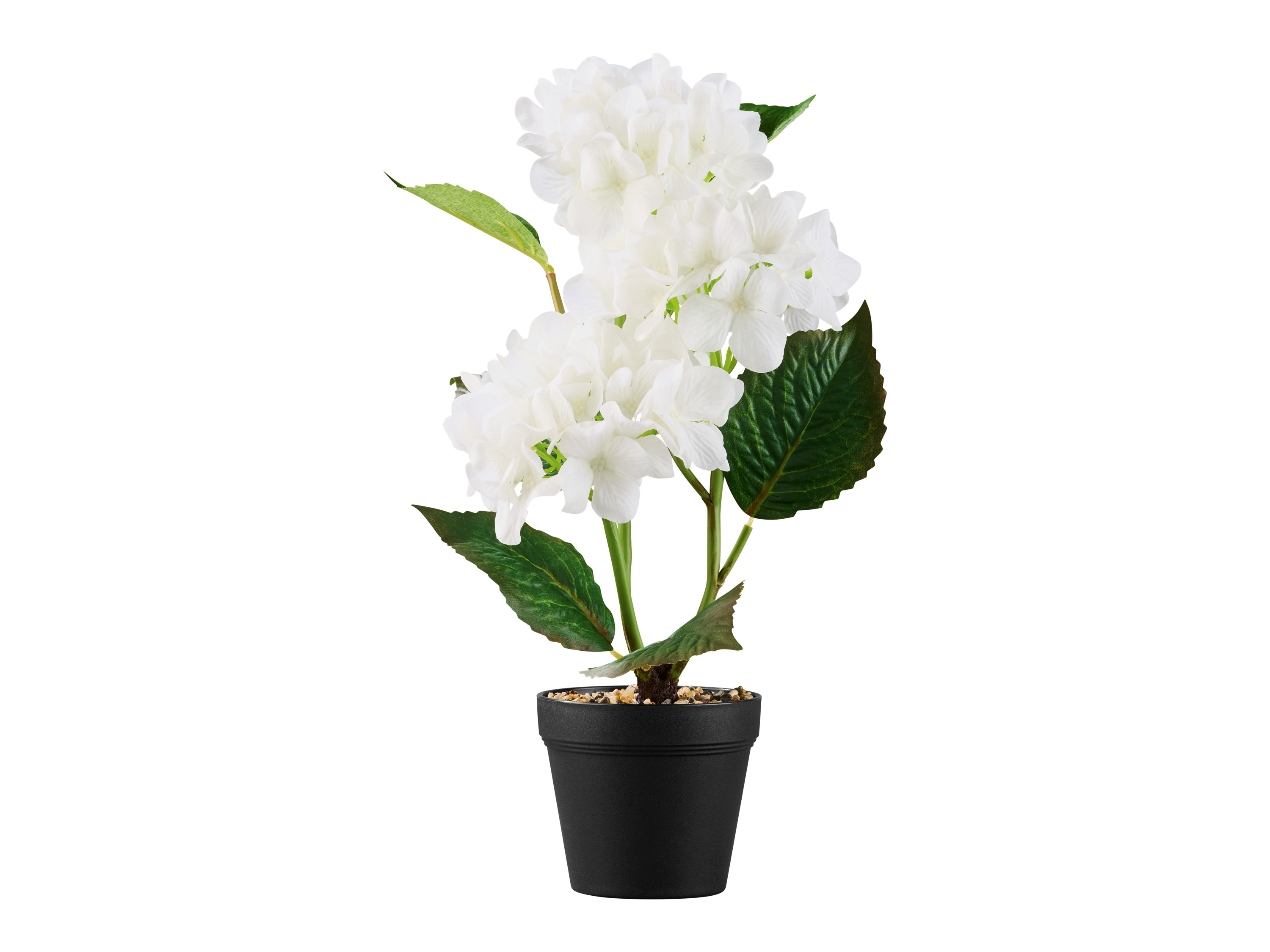 LIVARNO home Sztuczny kwiat Orchidea \ Trawa ozdobna \ Hortensja (Hortensja)
