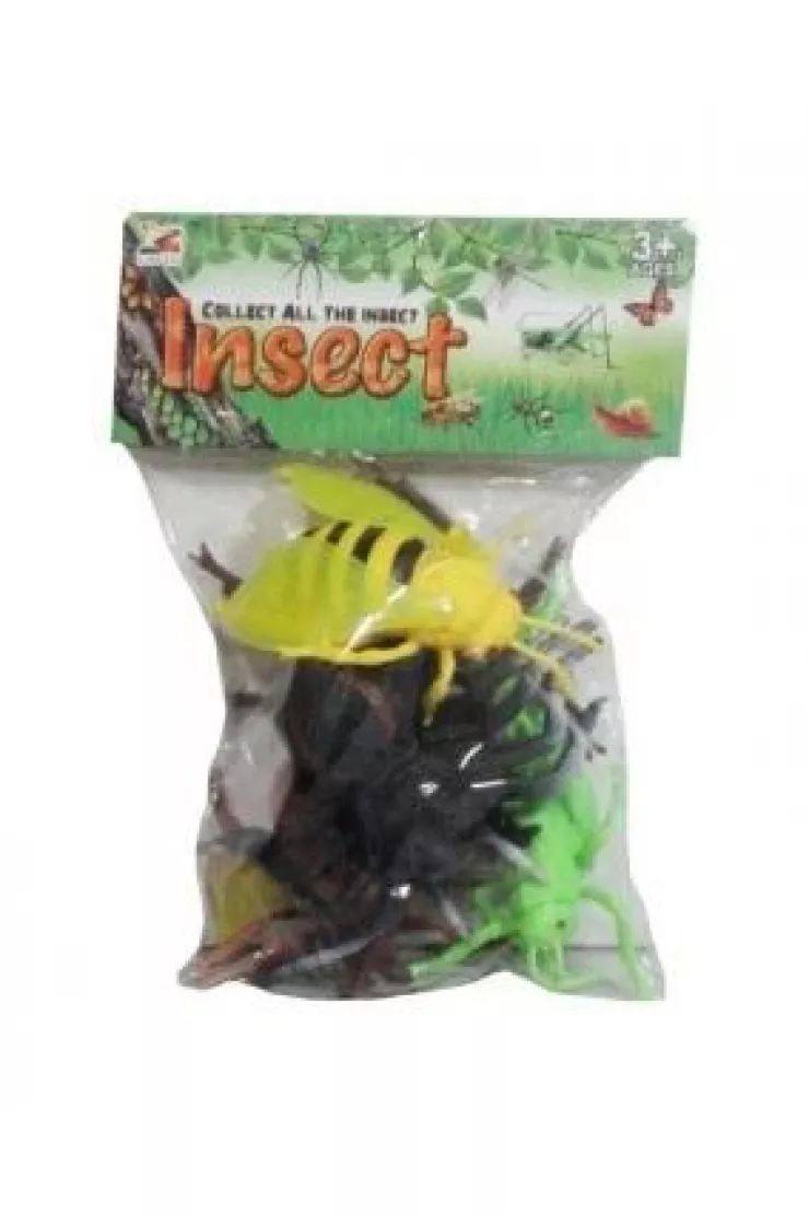 Insekty