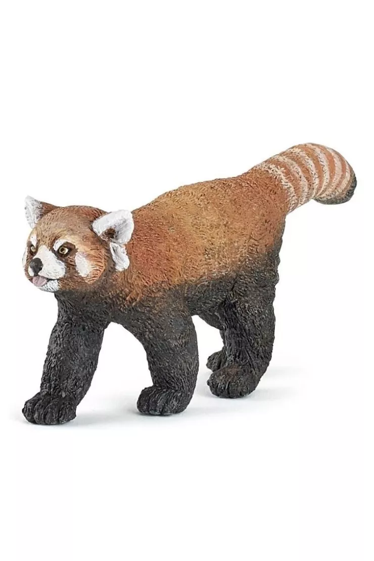 Panda czerwona