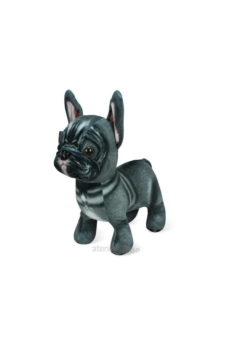 Pluszak Buldog