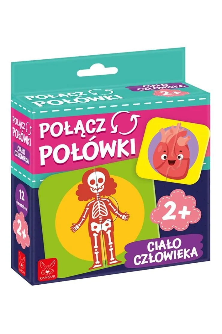 Połącz połówki. Ciało człowieka