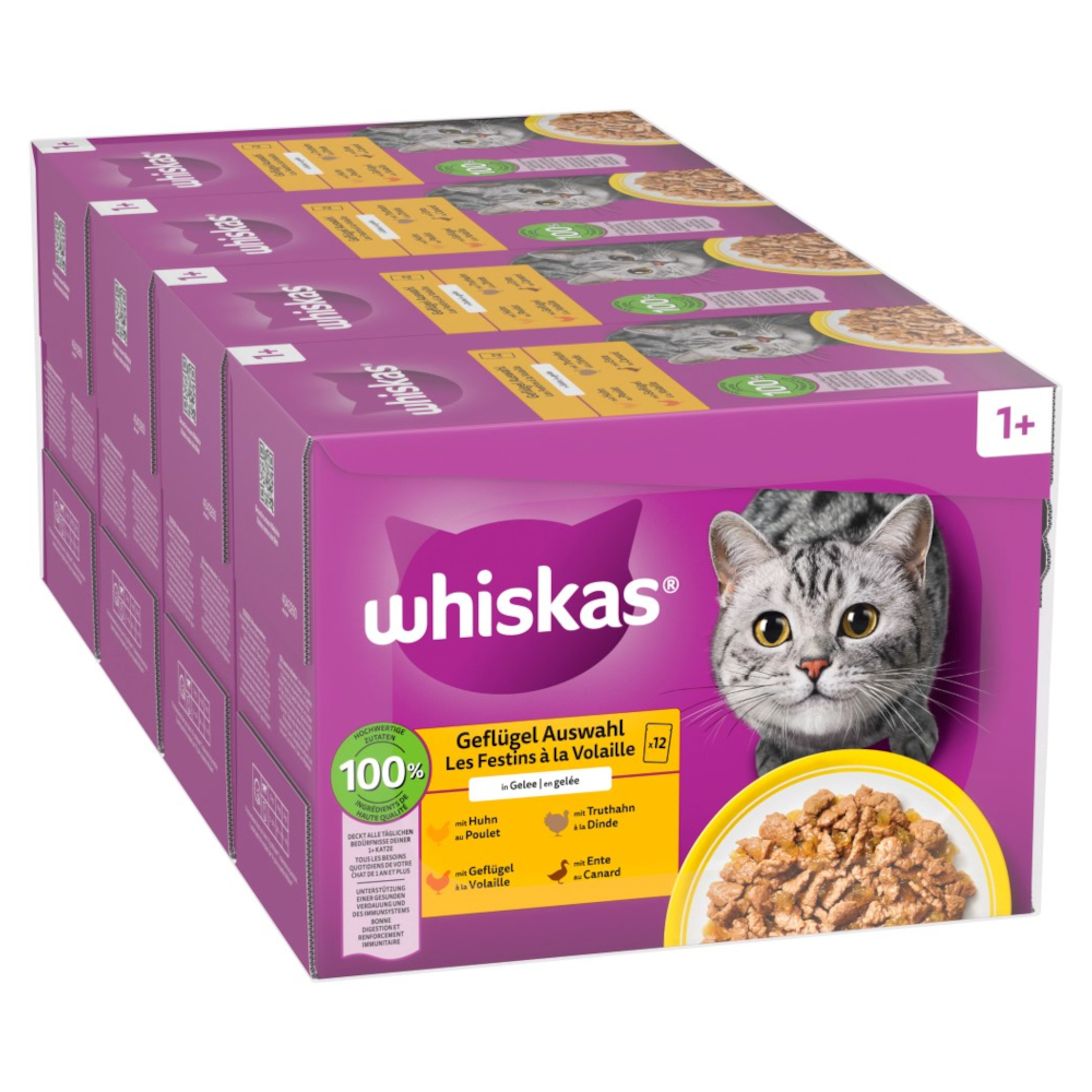 Pakiet mieszany Whiskas 1+ Adult, saszetki, 48 x 85 g - Wybór dań drobiowych w galarecie