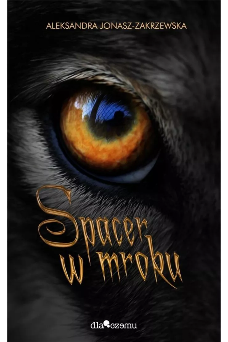 Spacer w mroku