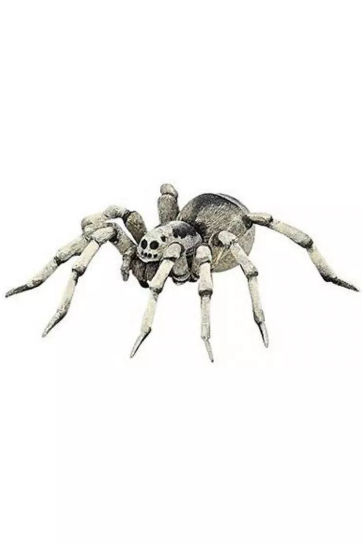 Tarantula
