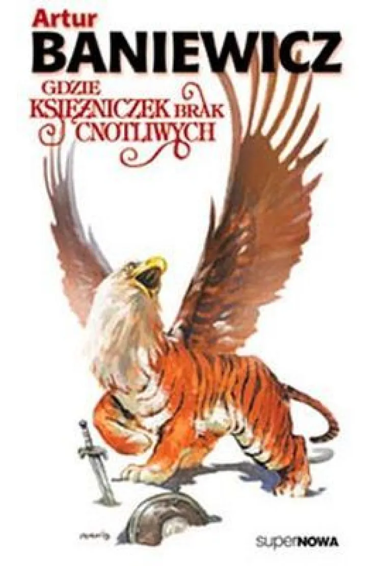 Gdzie księżniczek brak cnotliwych. Saga o czarokrążcy. Tom 3