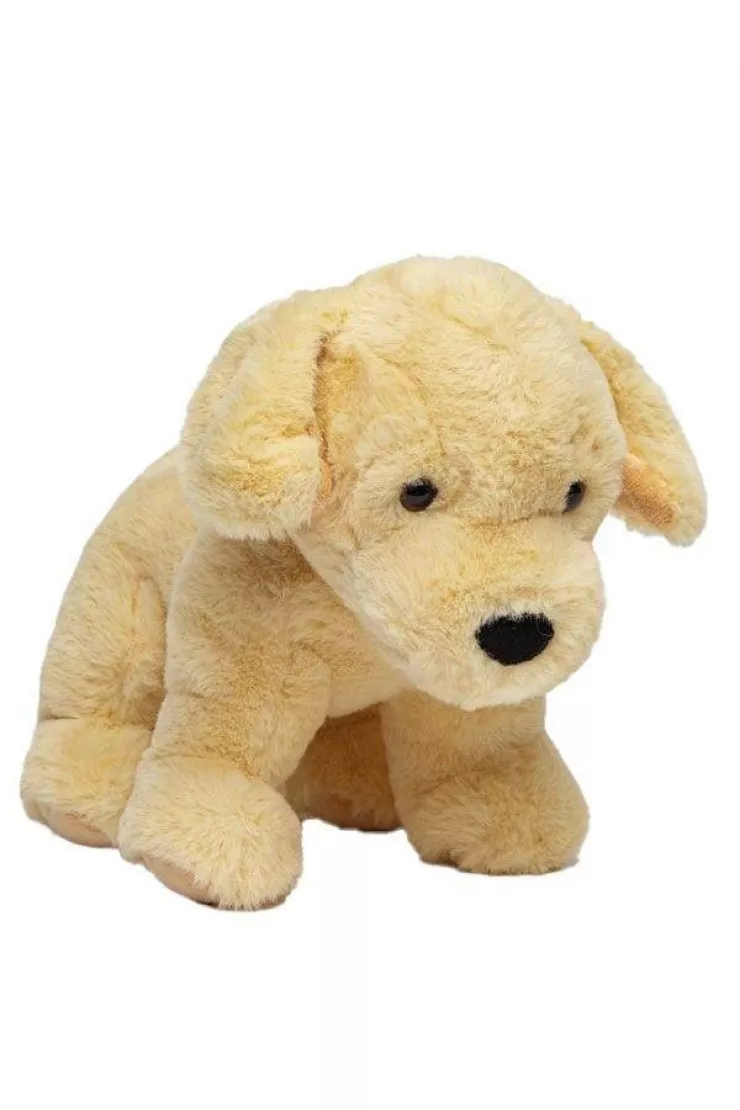 Pies Golden retriever 30 cm